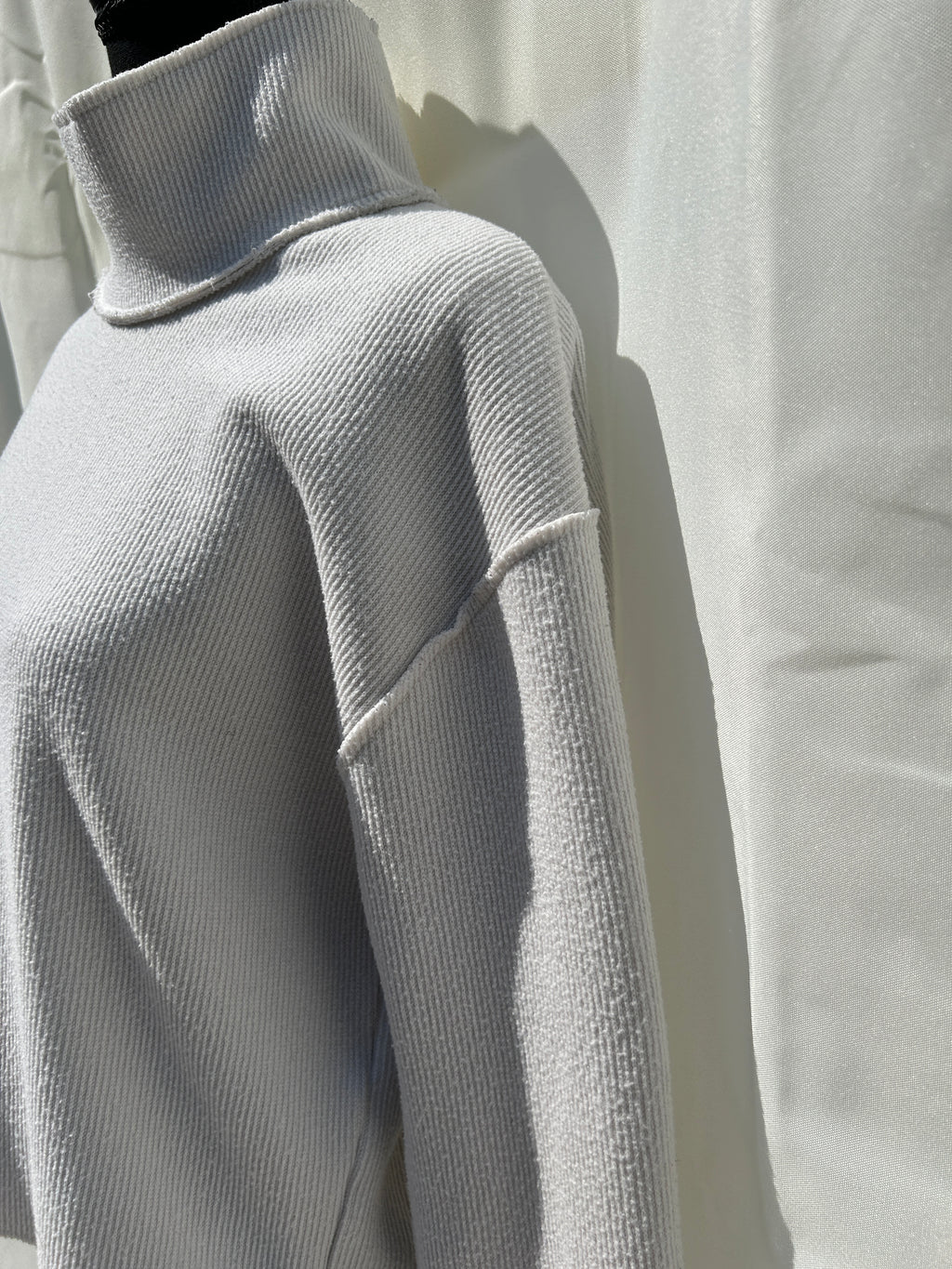 Zara “Alabaster Box” Sweatshirt - Beige