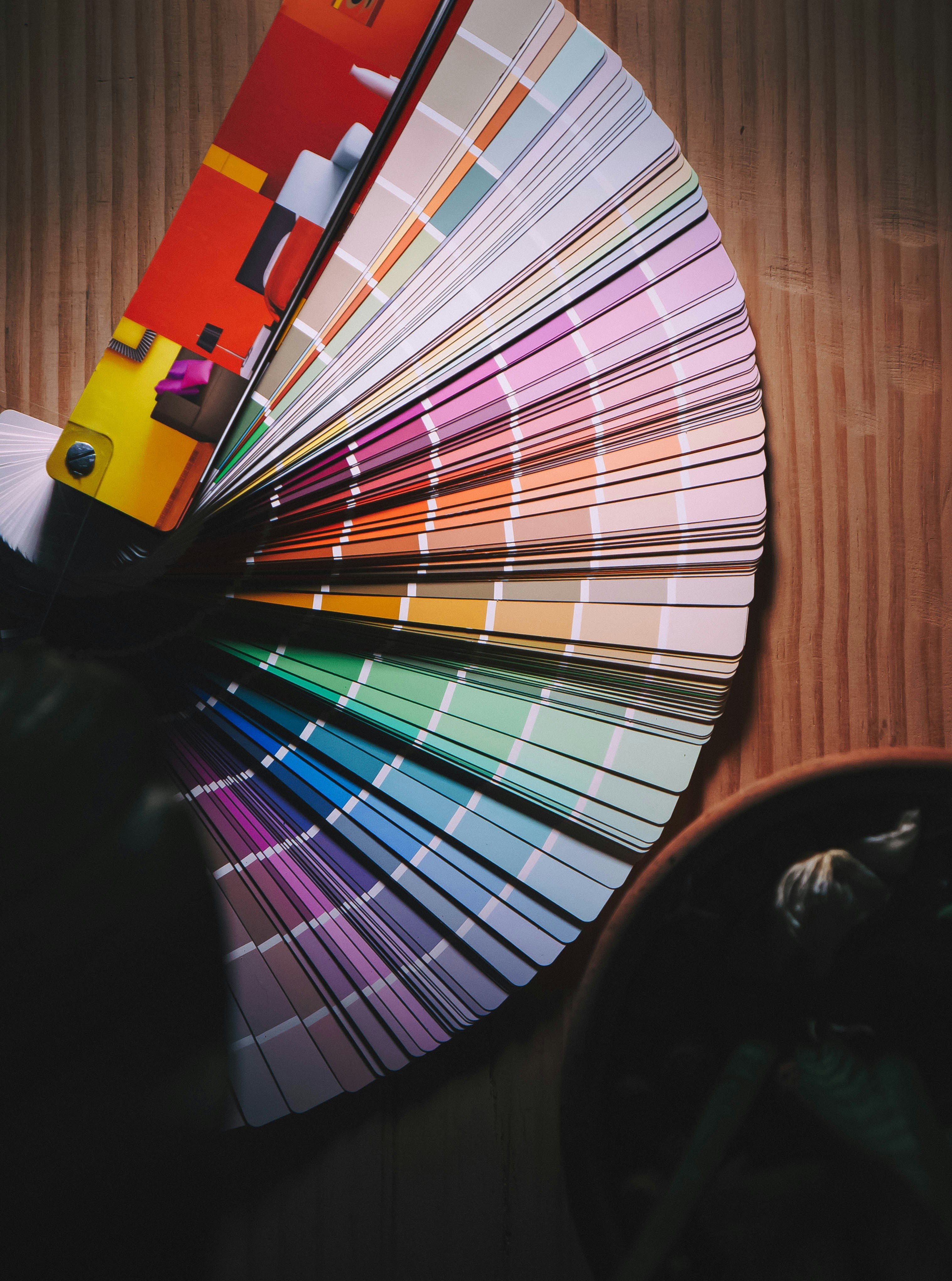 Color + Body Analysis