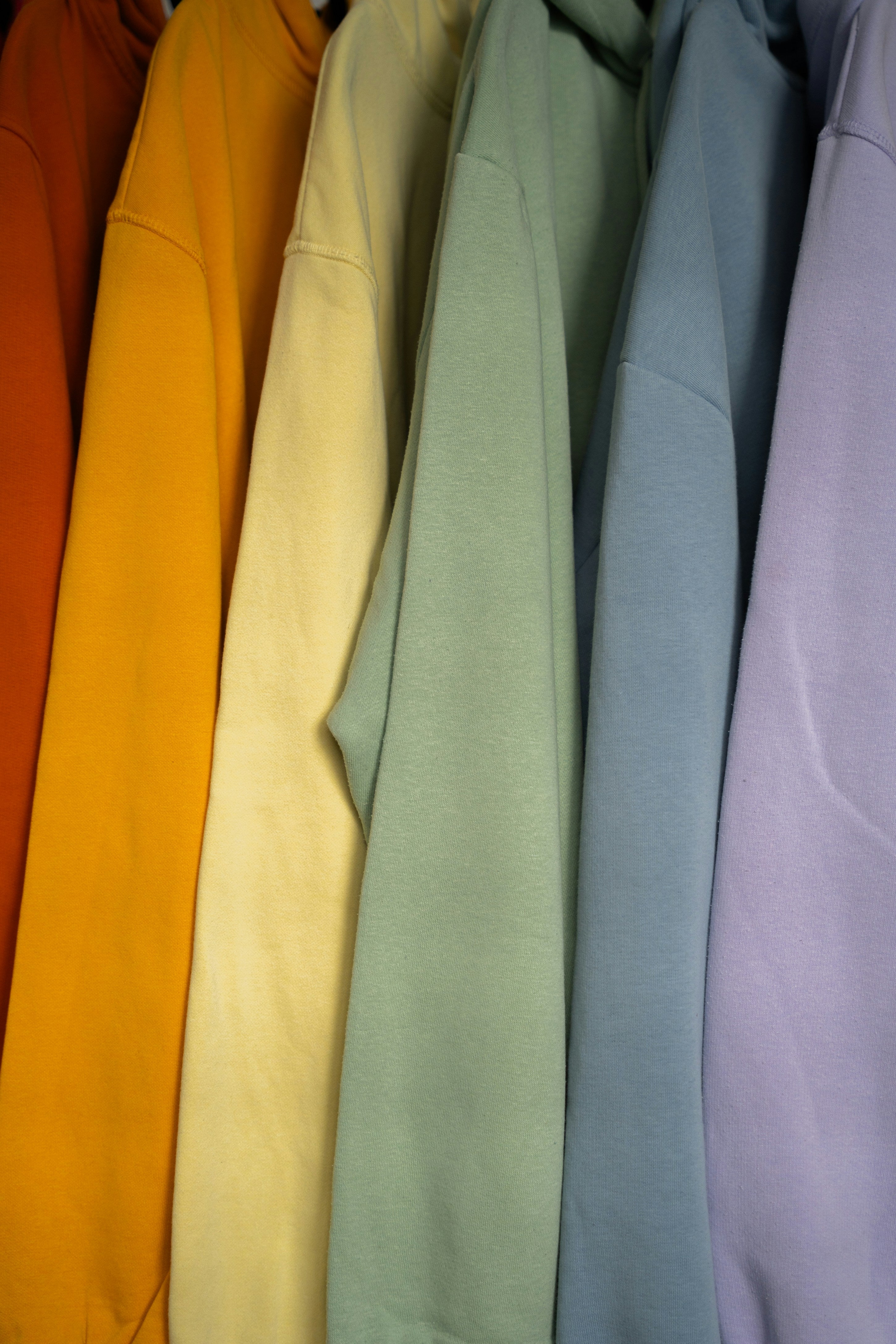 Color + Body Analysis